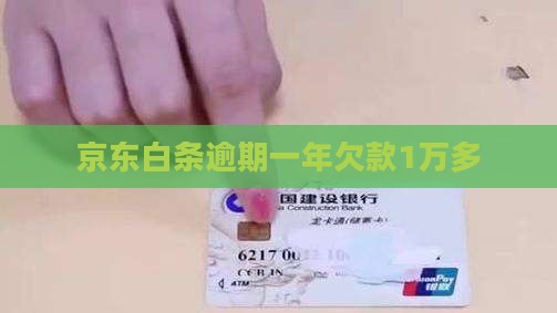 京东白条逾期1万多1年半