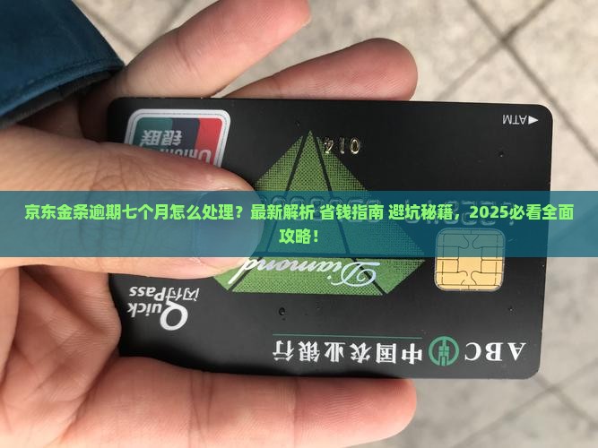 京东金条逾期七个月
