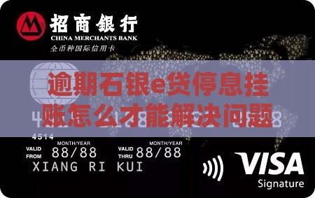 石银e贷停息挂账怎么办才能解决问题