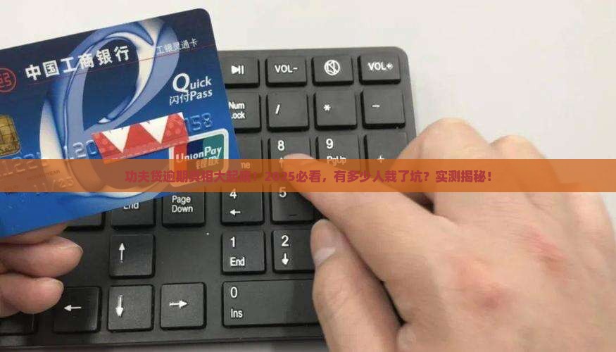 功夫贷逾期情况究竟有多少个人逾期