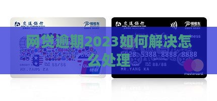 网贷逾期2023如何解决