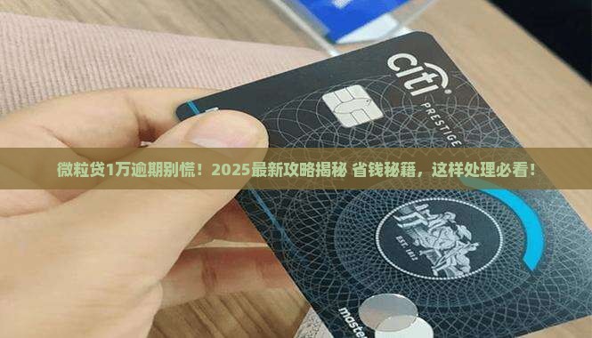 微信微粒贷1万逾期如何解决