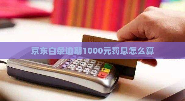 京东白条1000元逾期罚息怎么算