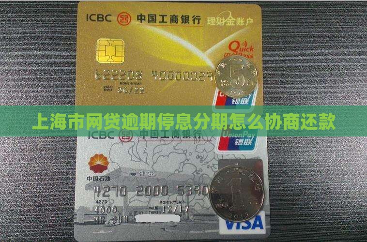 上海市网贷逾期停息分期怎么协商还款