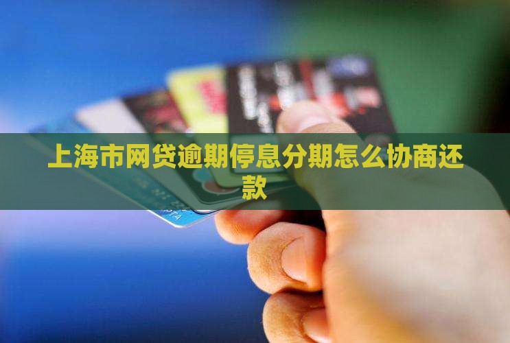上海市网贷逾期停息分期怎么协商还款