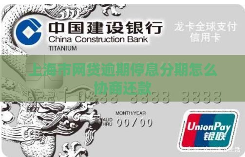 上海市网贷逾期停息分期怎么协商还款