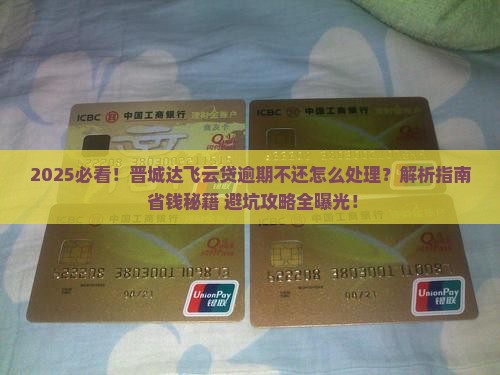 晋城达飞云贷逾期不还怎么处理