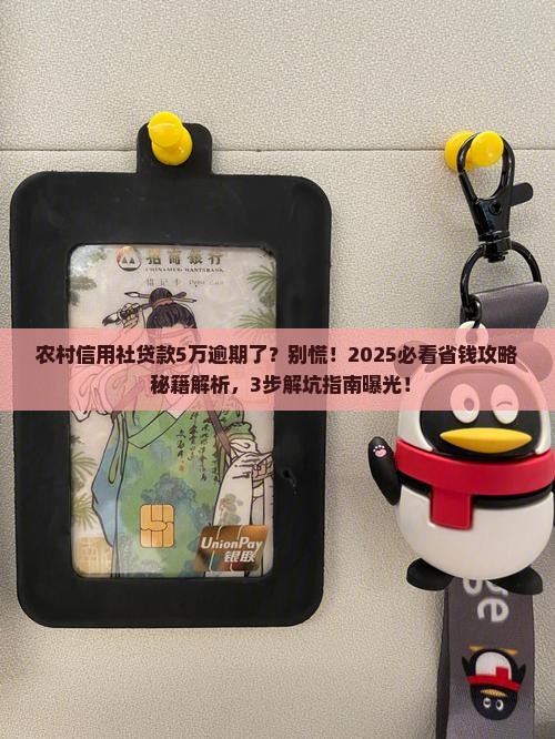 农村信用社贷款5万逾期怎么办