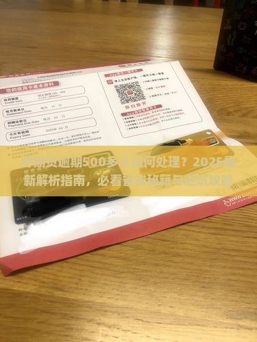 好期贷逾期500多天怎么处理