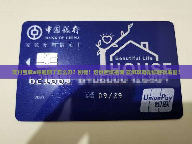 支付宝诚e赊逾期咋办才好