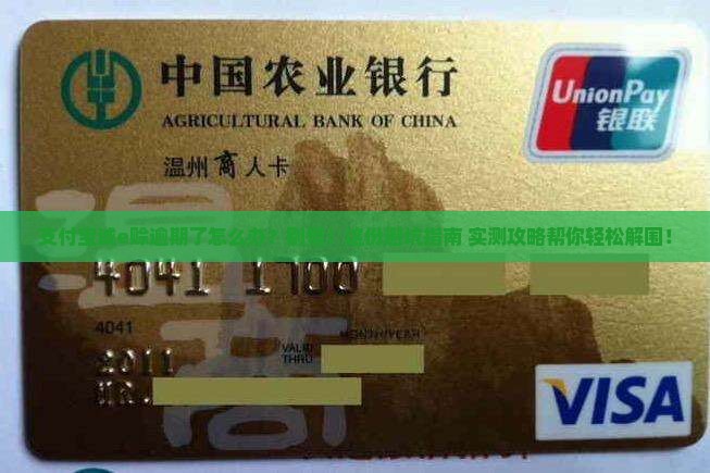 支付宝诚e赊逾期咋办才好
