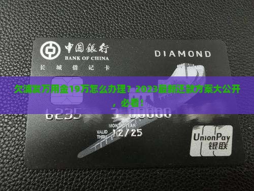 欠浦发万用金19万怎么办理