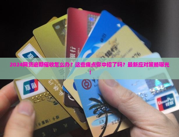 2024网贷逾期催收怎么处理