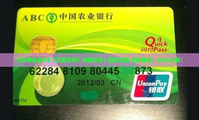 欠消费金融2年了还要还吗
