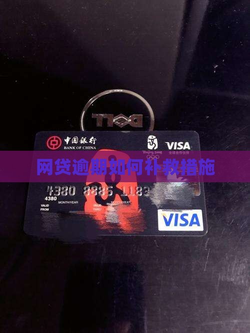 网贷逾期如何补救措施