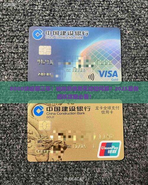 拍拍贷欠款8000元逾期3年未还怎么办