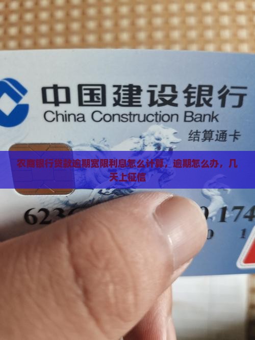 农商银行贷款逾期宽限利息怎么计算
