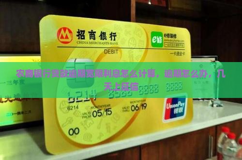 农商银行贷款逾期宽限利息怎么计算