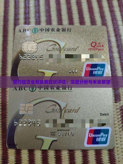 西藏银行信贷业务发展现状评估