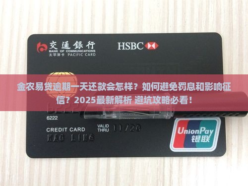 金农易贷逾期一天还款