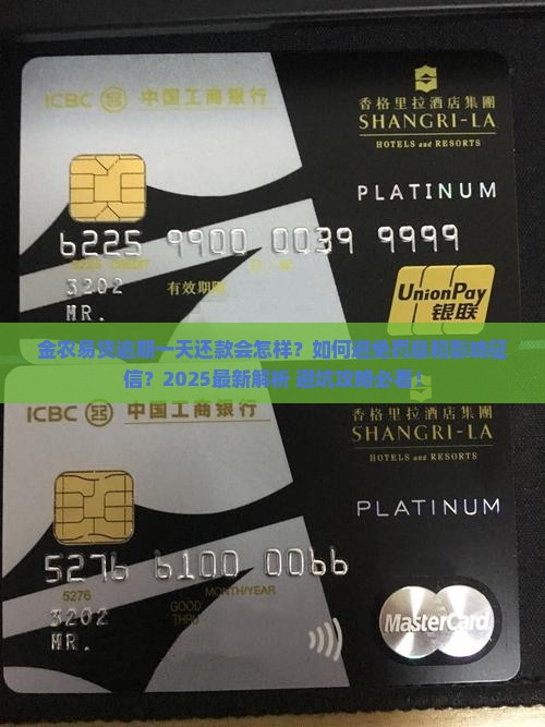 金农易贷逾期一天还款