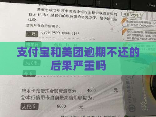 支付宝和美团逾期不还的后果严重吗