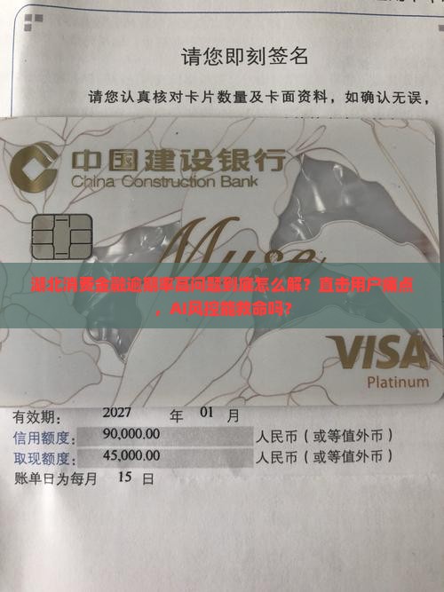 湖北消费金融逾期率高问题解析