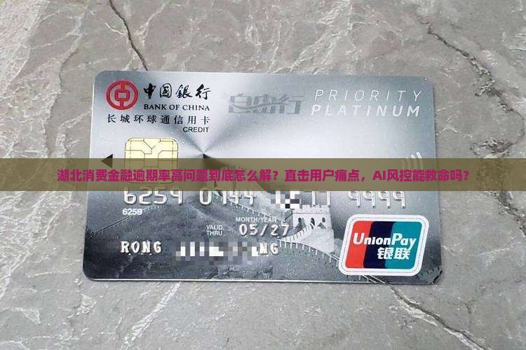 湖北消费金融逾期率高问题解析