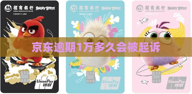 京东逾期1万多久被起诉