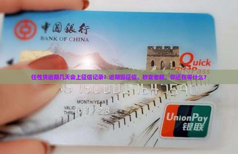 任性贷逾期几天会上征信记录
