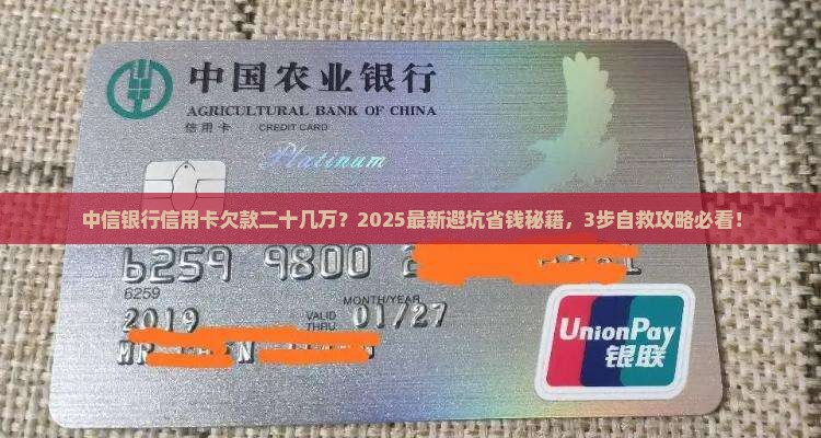 中信银行信用卡欠款二十几万怎么处理