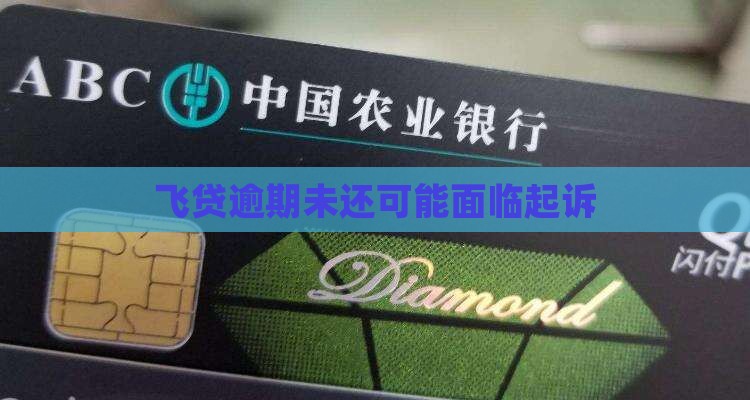 飞贷贷款不还会起诉