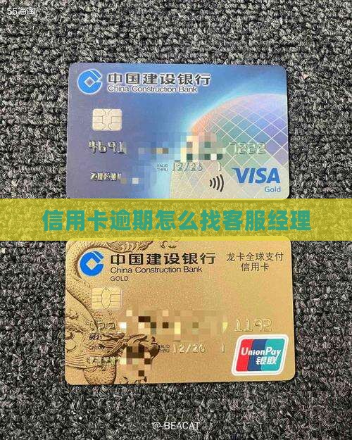 信用卡逾期怎么找客服经理