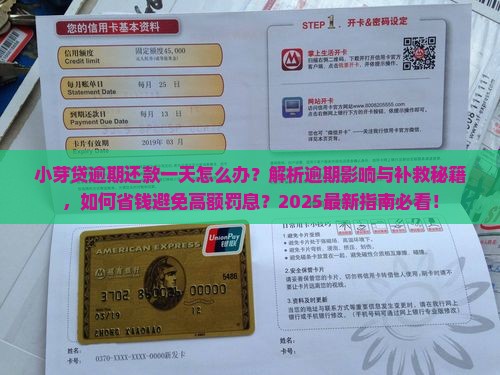 小芽贷逾期还款一天怎么办