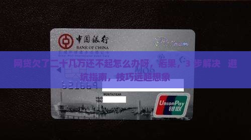 网贷欠了二十几万还不起怎么办呀