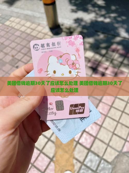 美团借钱逾期30天了应该怎么处理