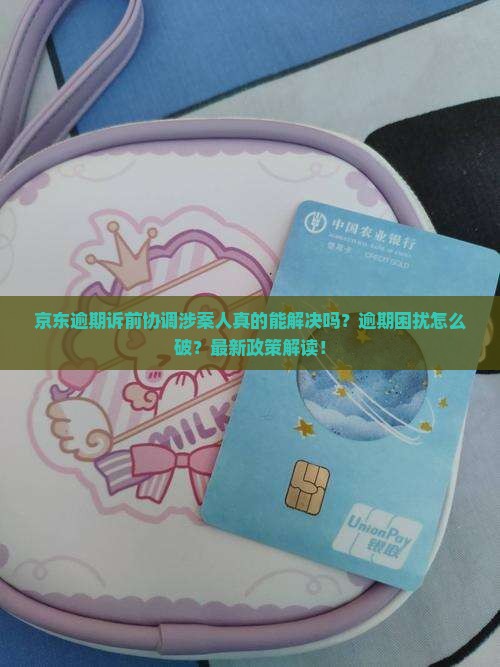 京东逾期诉前协调涉案人如何处理