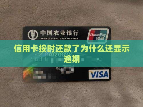信用卡按时还款了为什么还显示逾期