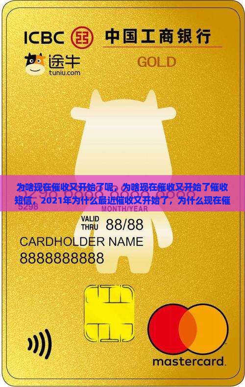 为啥现在催收又开始了