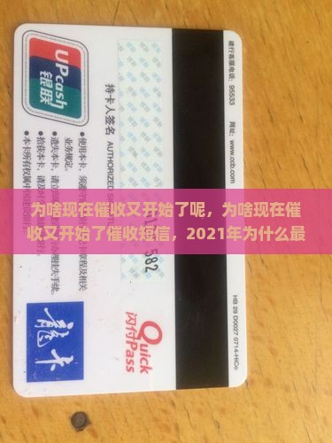 为啥现在催收又开始了