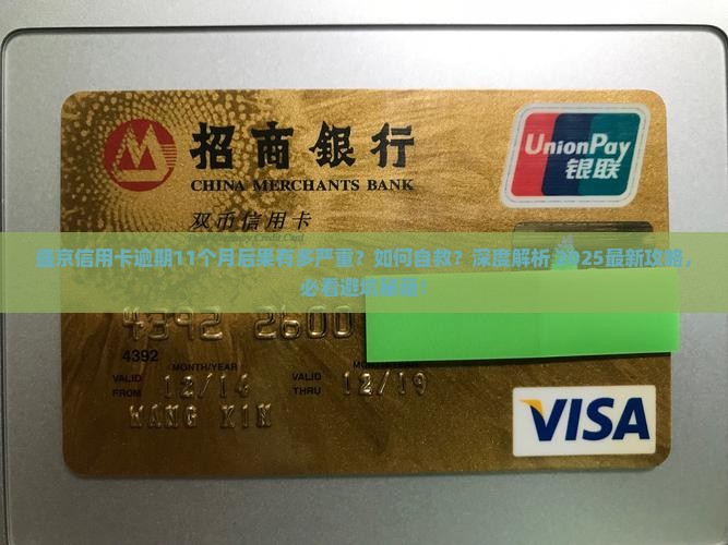 盛京信用卡逾期11个月后的后果及解决方法