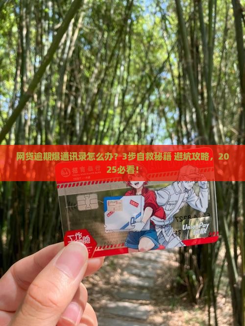 网贷及信用卡逾期爆通讯录怎么办理