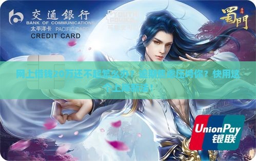 网上借钱20万还不起怎么办