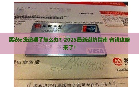 惠农e贷逾期了怎么解决