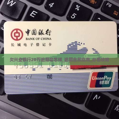 欠兴业银行20万逾期会怎样