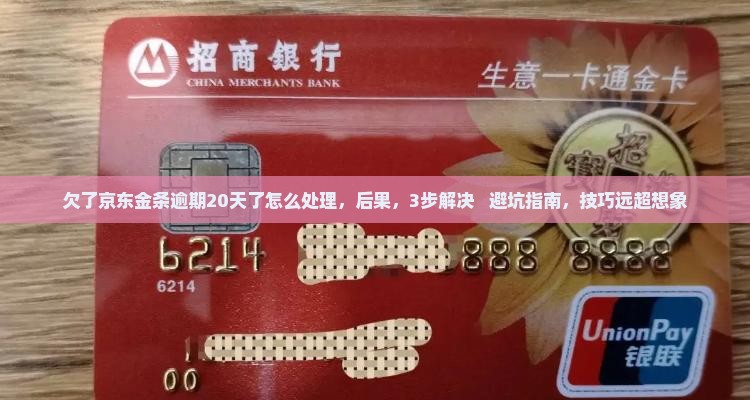 欠了京东金条逾期20天了怎么处理