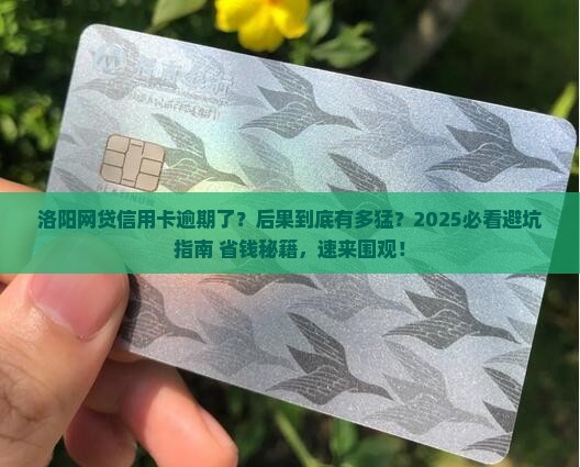 洛阳网贷信用卡逾期后果严重吗