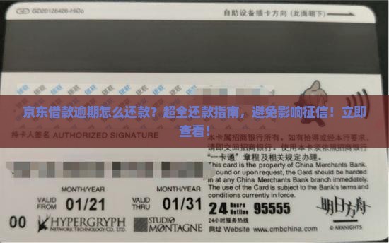 京东借款逾期怎么还款