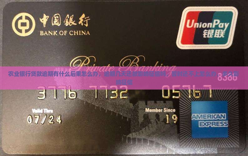 农业银行贷款逾期有什么后果怎么办