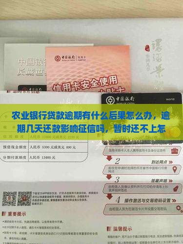 农业银行贷款逾期有什么后果怎么办